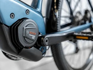 Trek Bikes Allant+ 6 Shop