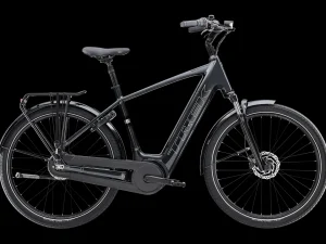 Trek Bikes District+ 3 Lithium Grey Discount