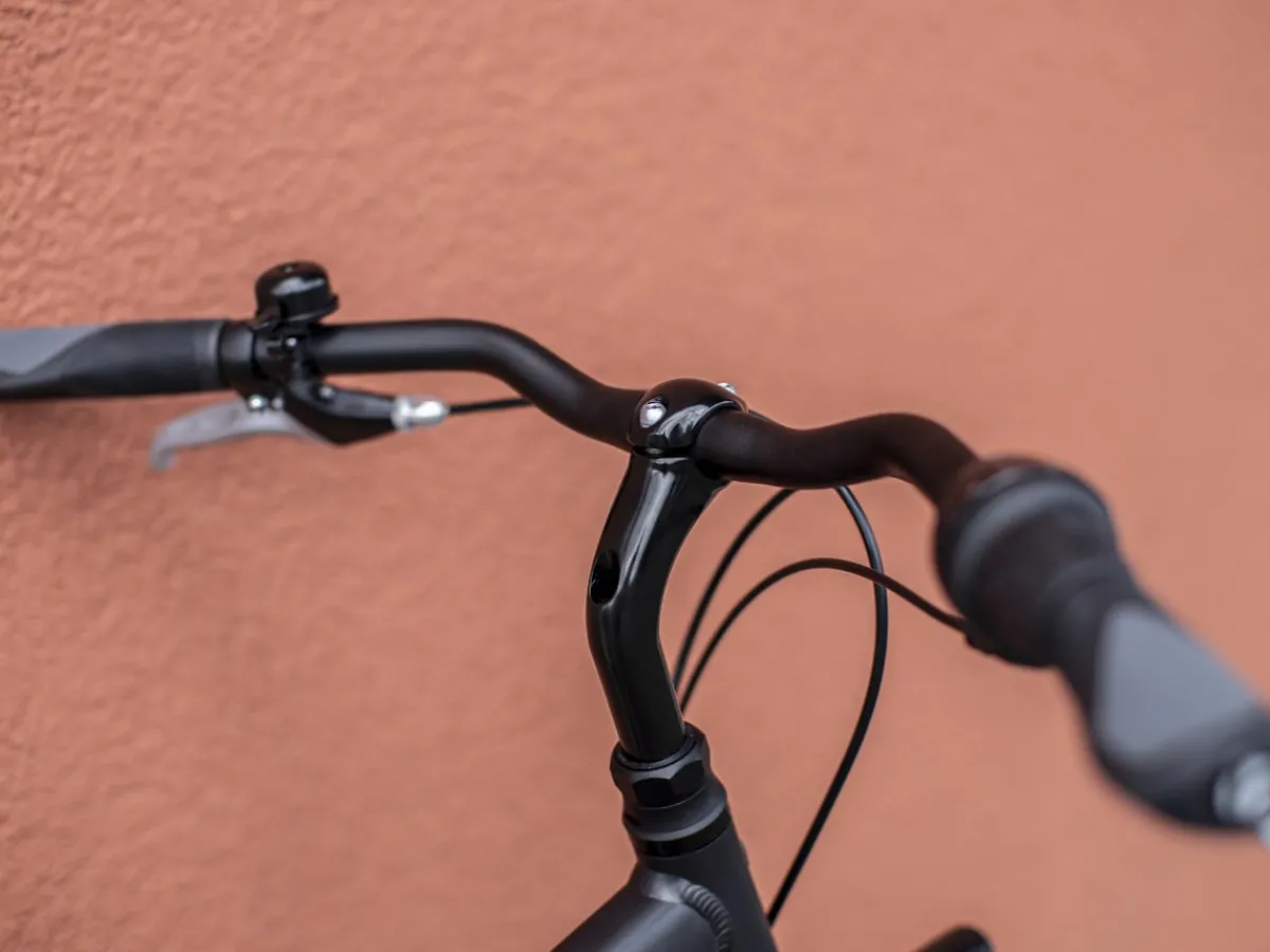 Trek Bikes District 1 Equipped Matte Dnister Black Hot