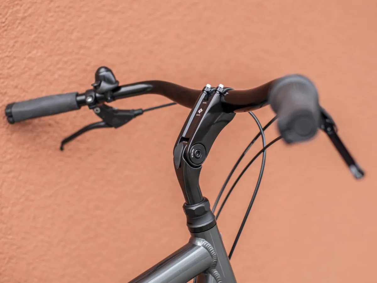 Trek Bikes District 2 Equipped Lithium Grey Shop