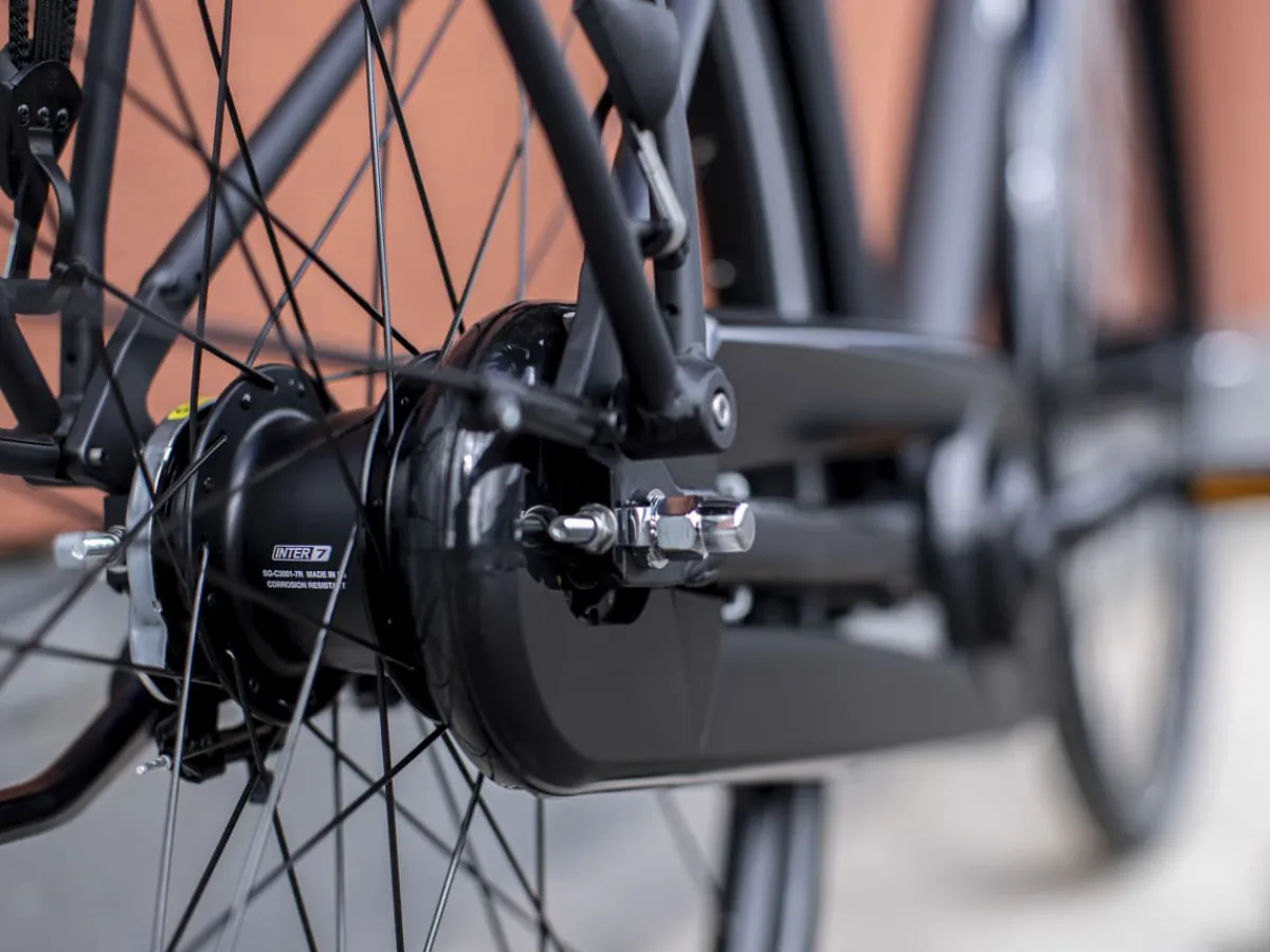 Trek Bikes District 1 Equipped Matte Dnister Black Hot