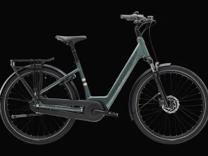 Trek Bikes District+ 2 Lowstep Sale