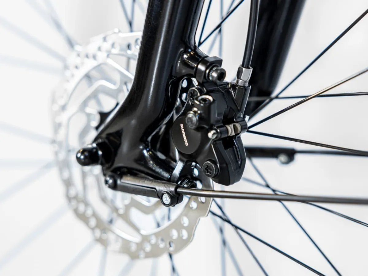 Trek Bikes District+ 2 Lowstep Best