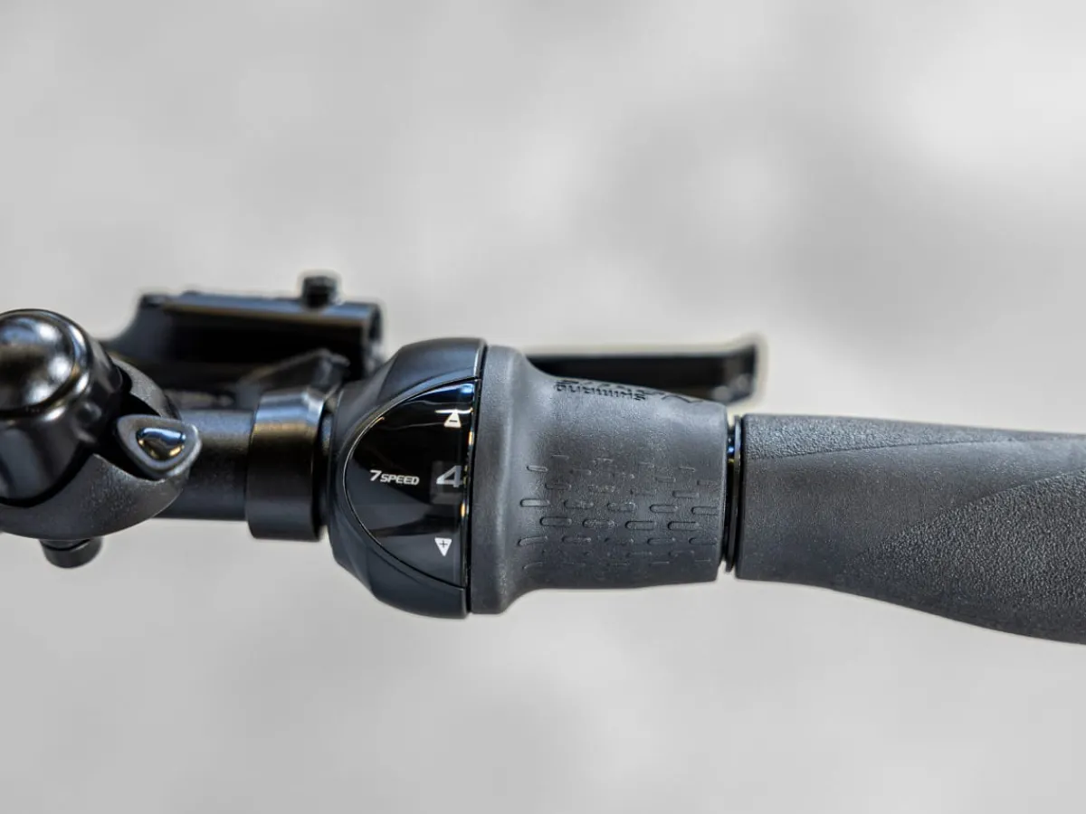 Trek Bikes District+ 2 Lowstep Best