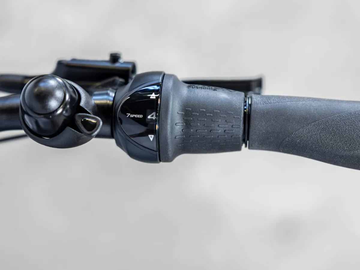 Trek Bikes District+ 3 Lowstep Clearance