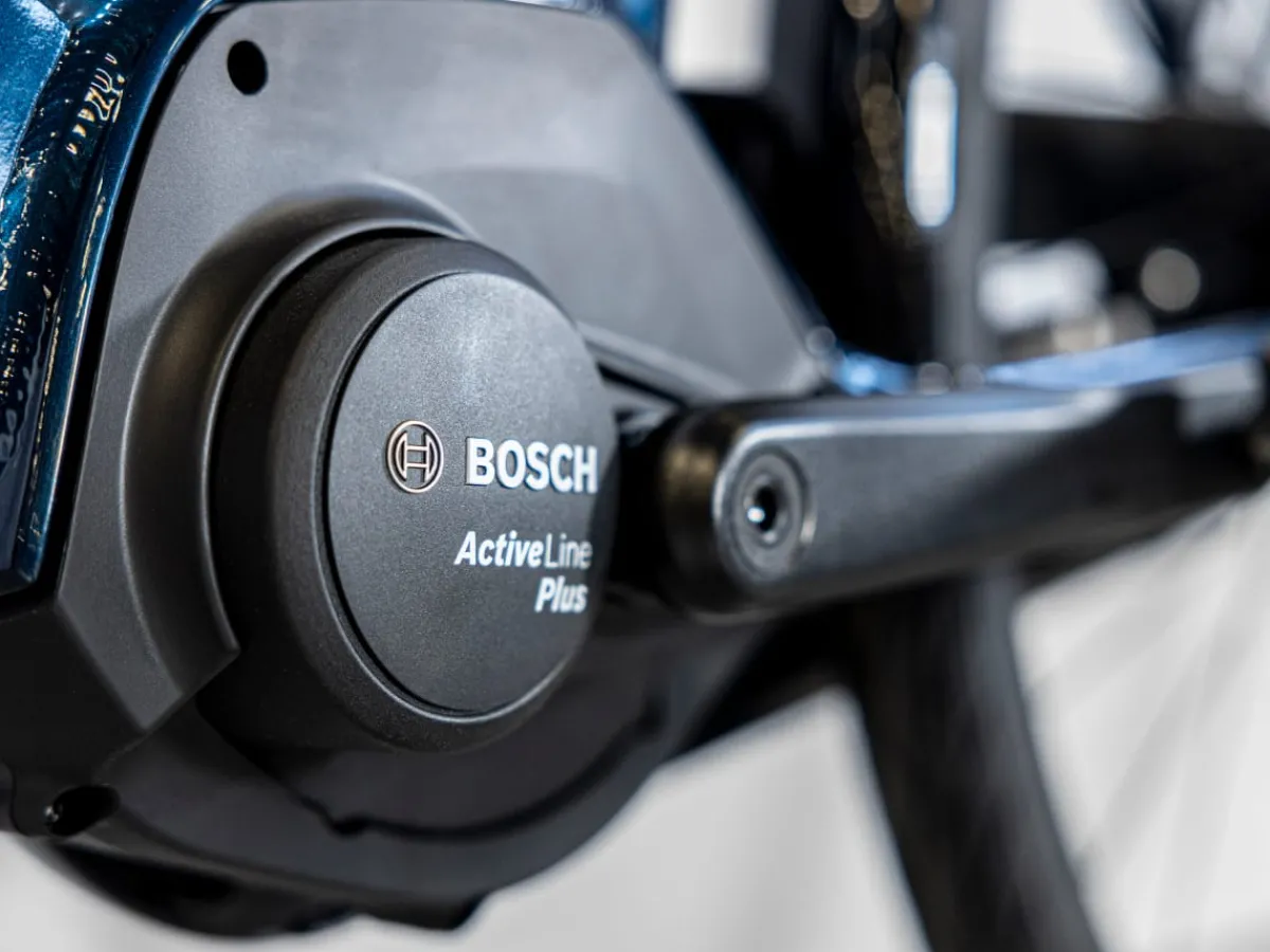 Trek Bikes District+ 2 Lowstep Best