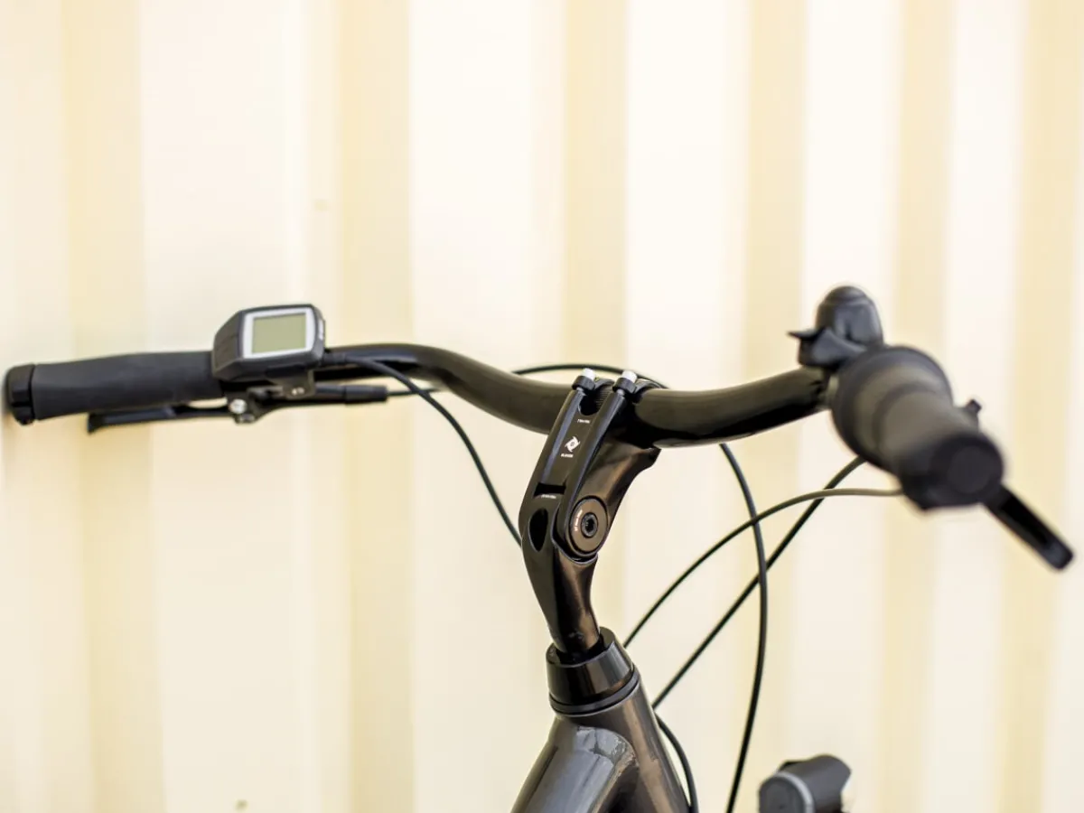 Trek Bikes District+ 1 Midstep Lithium Grey Hot