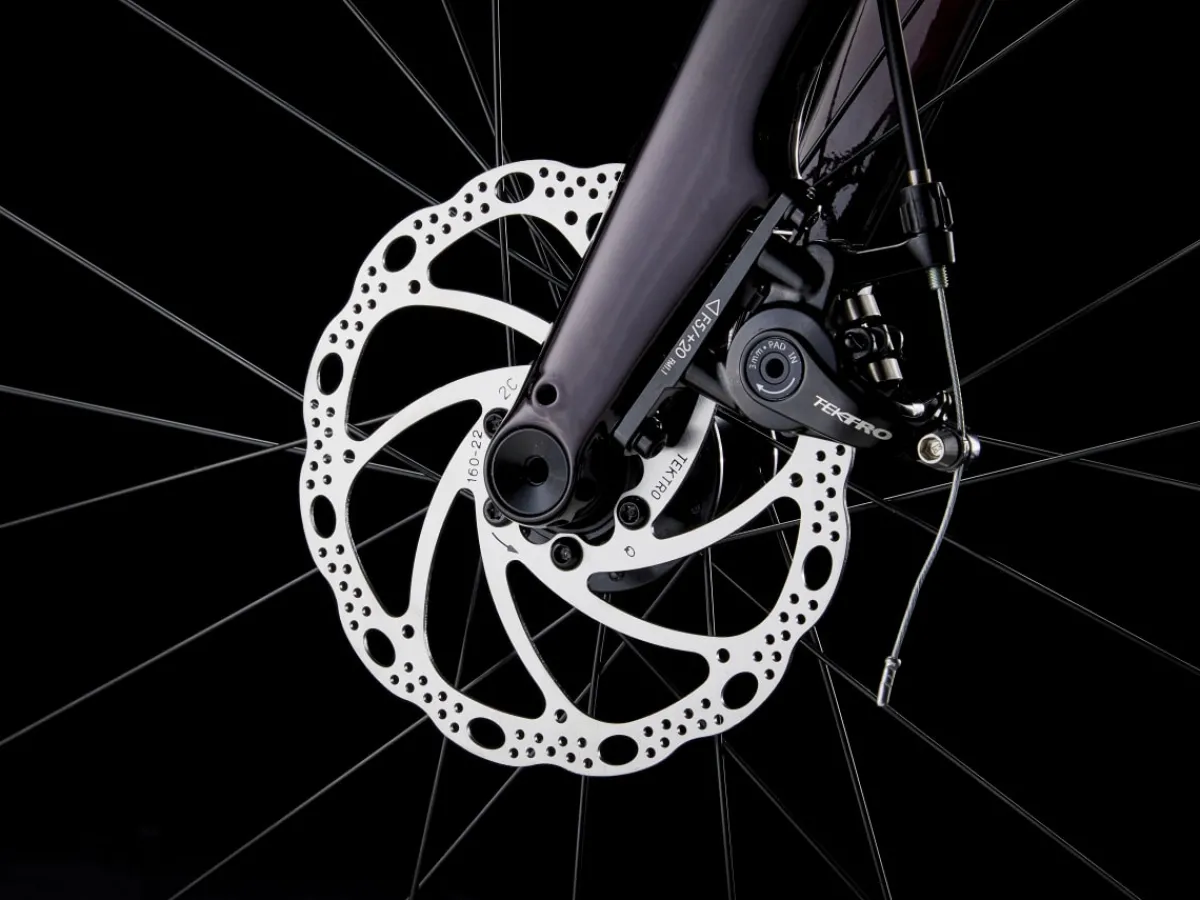 Trek Bikes Domane AL 2 Gen 4 Flash Sale