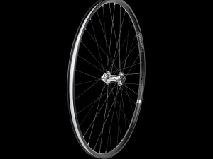 Trek Bikes Electra Townie Commute Go! 8i wielen New