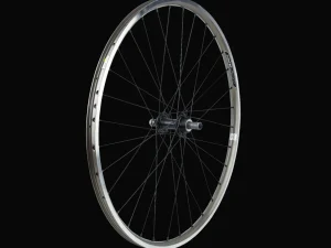 Trek Bikes Electra Townie 21D 26" wielen Hot