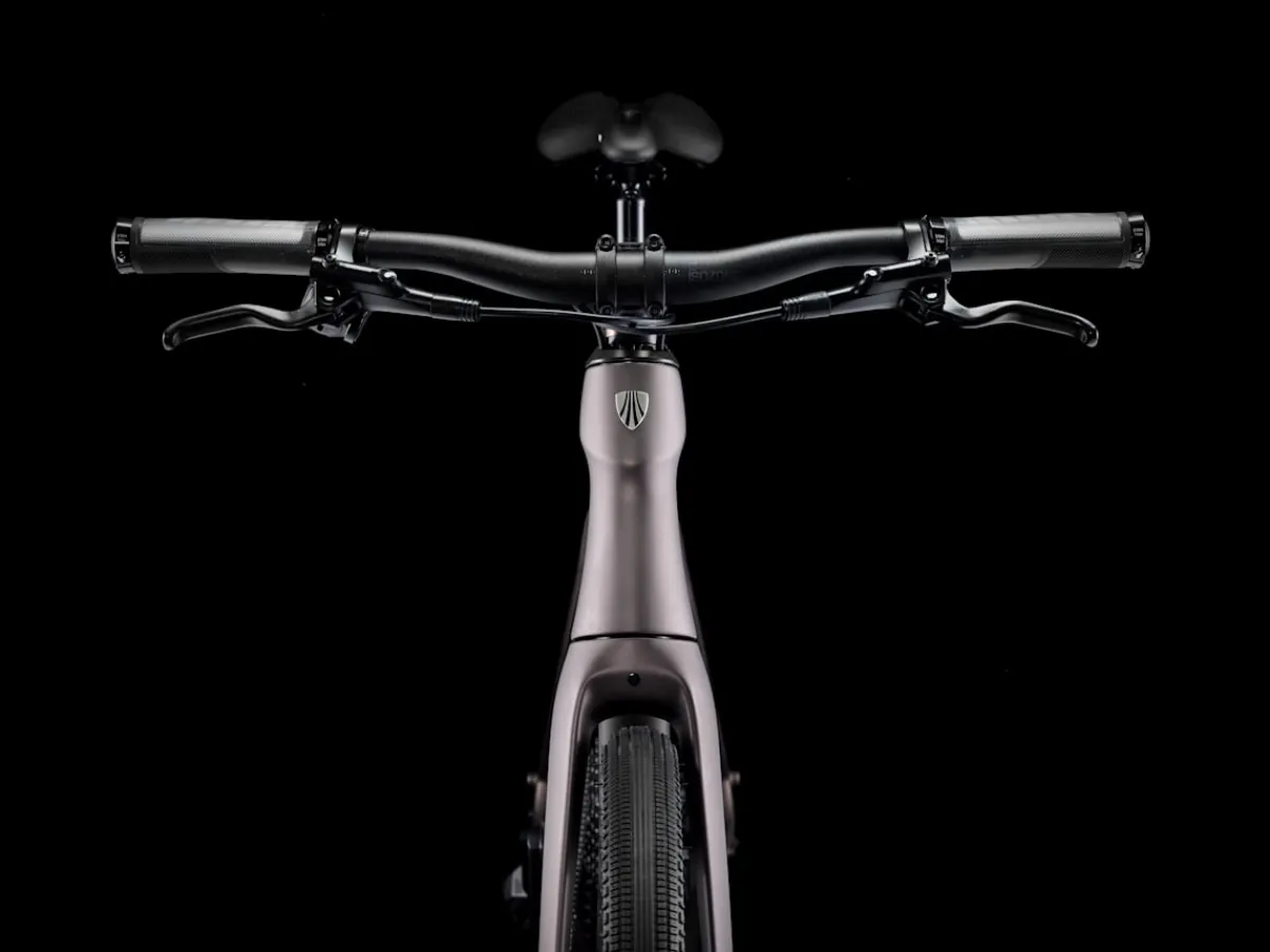 Trek Bikes FX Sport 6 Matte Bronze Age/Deep Smoke Best