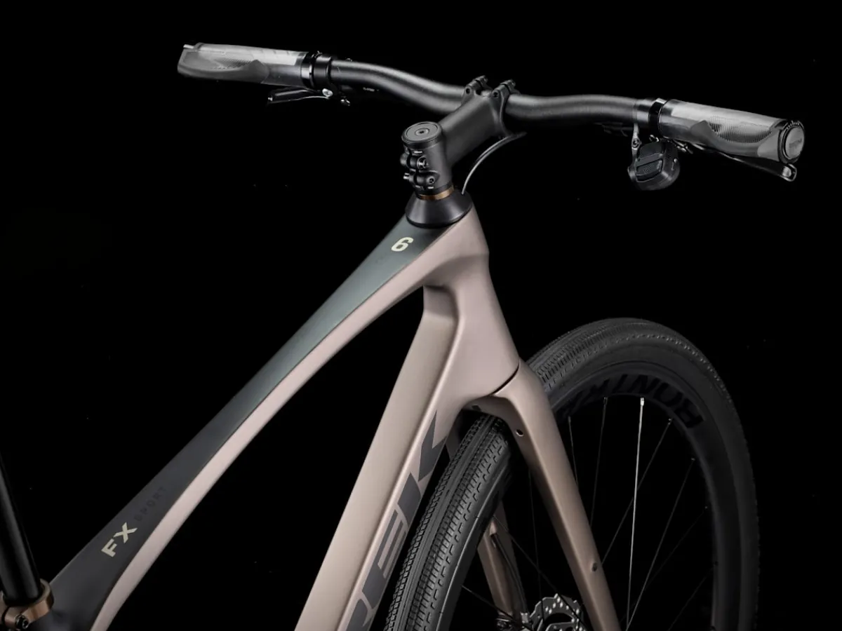 Trek Bikes FX Sport 6 Matte Bronze Age/Deep Smoke Best