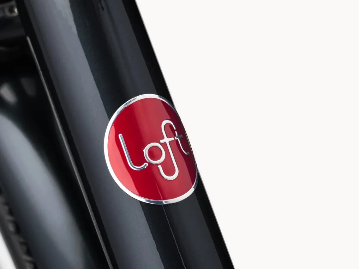 Trek Bikes Loft Go! 7D EQ Step-Over Best