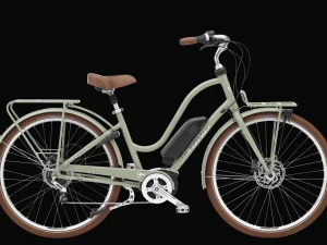 Trek Bikes Townie Commute Go! 5i Step-Thru Fashion