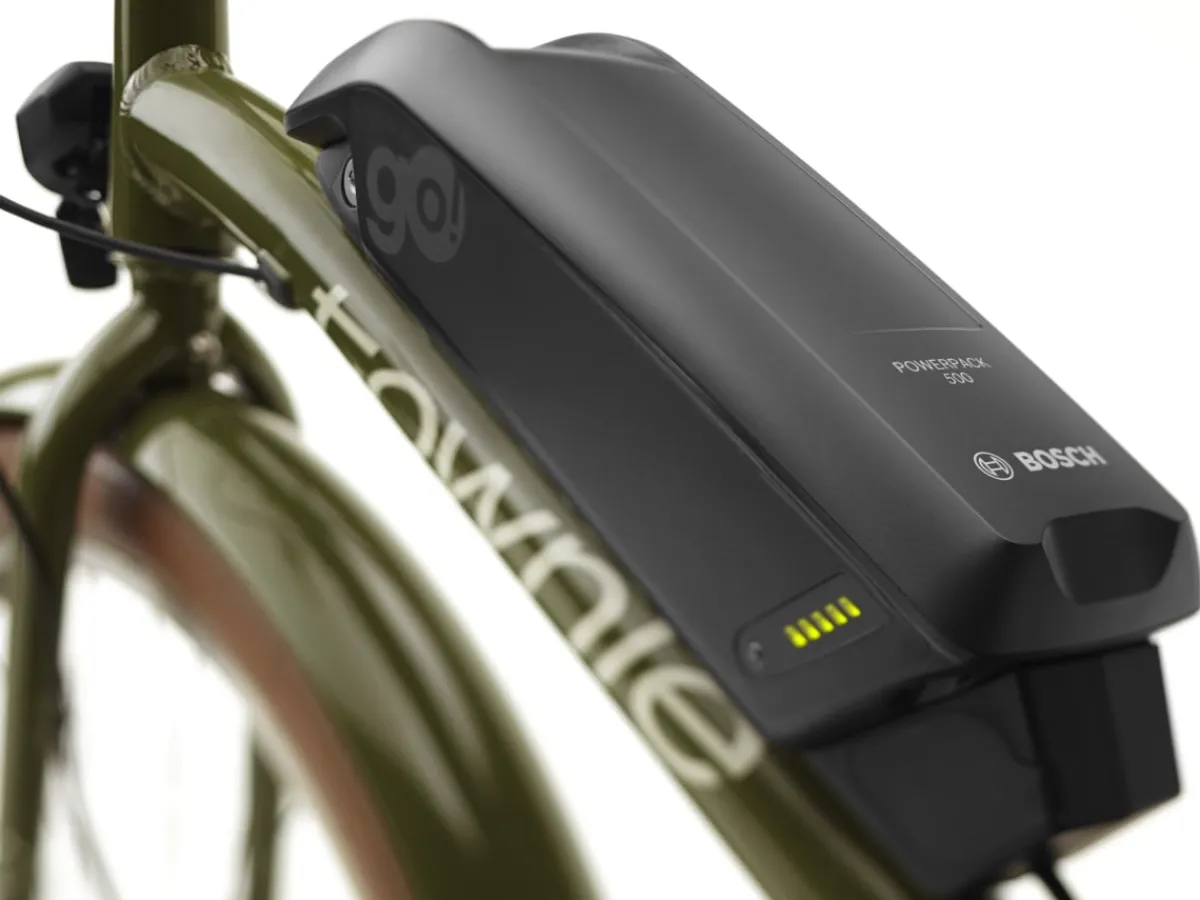 Trek Bikes Townie Go! 5i Step-Over Online