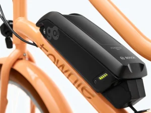 Trek Bikes Townie Go! 5i Step-Thru Sale