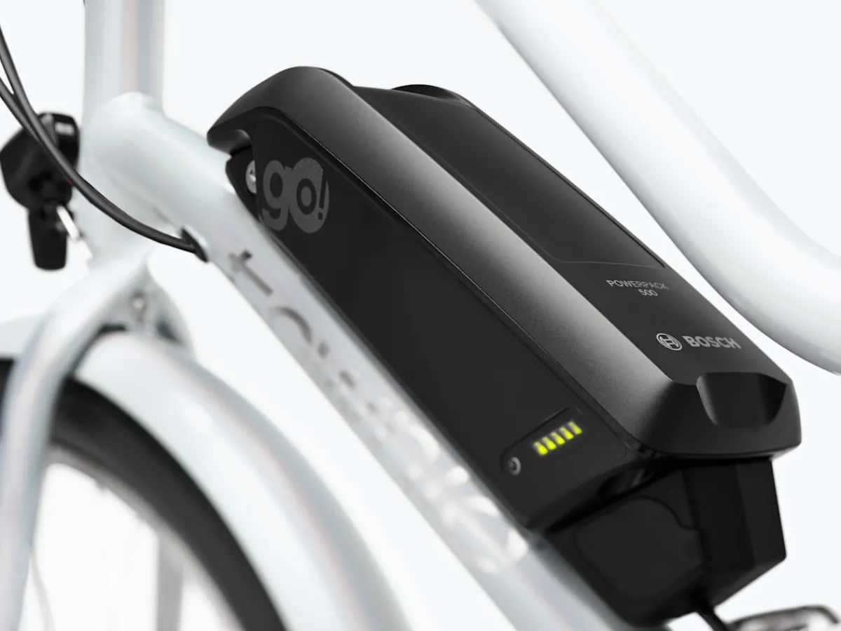 Trek Bikes Townie Go! 5i Step-Thru Sale