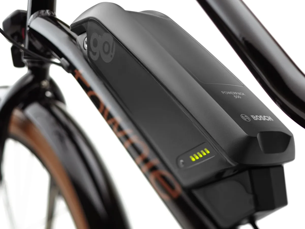 Trek Bikes Townie Go! 5i Step-Thru Sale