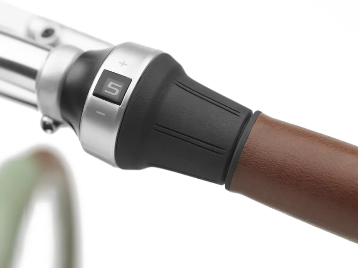 Trek Bikes Townie Go! 5i Step-Thru Sale