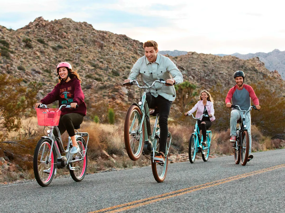 Trek Bikes Townie Go! 5i Step-Thru Sale