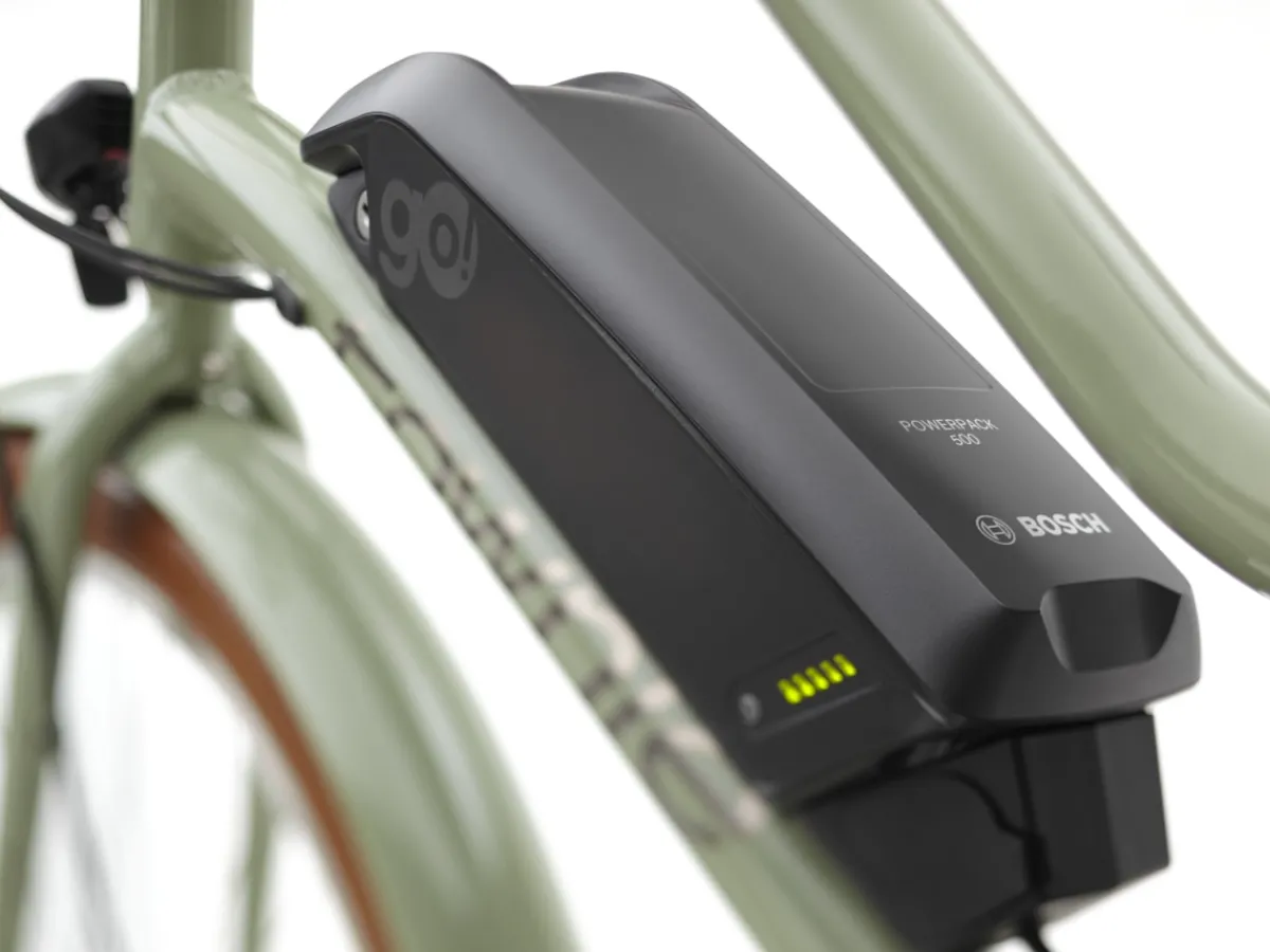 Trek Bikes Townie Go! 5i Step-Thru Sale