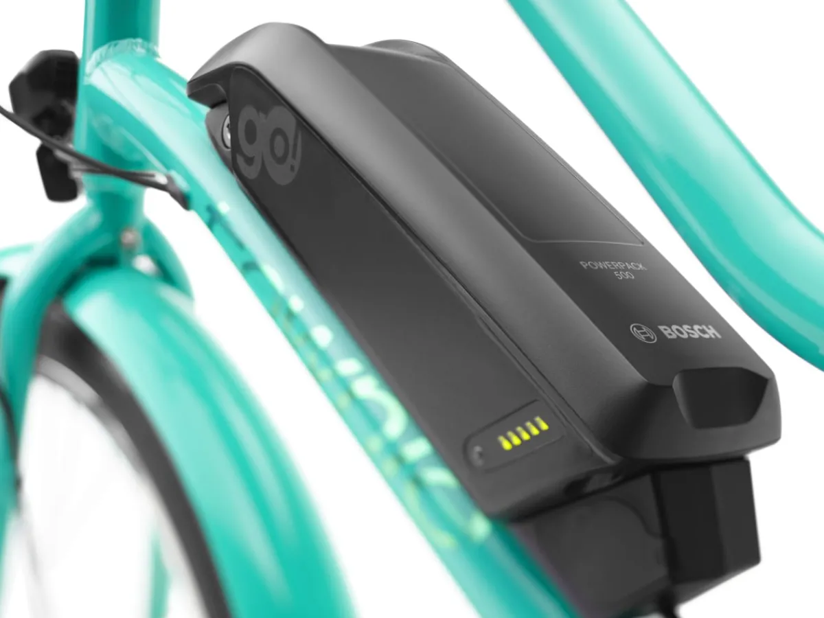 Trek Bikes Townie Go! 5i Step-Thru Sale