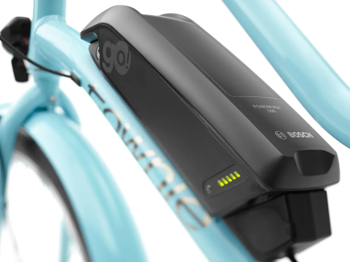 Trek Bikes Townie Go! 5i Step-Thru Sale