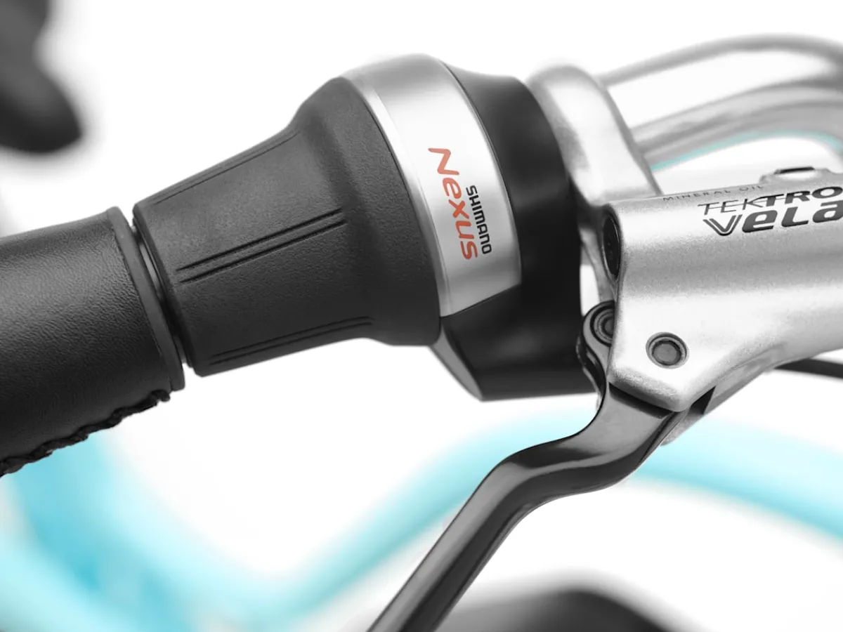 Trek Bikes Townie Go! 5i Step-Thru Sale