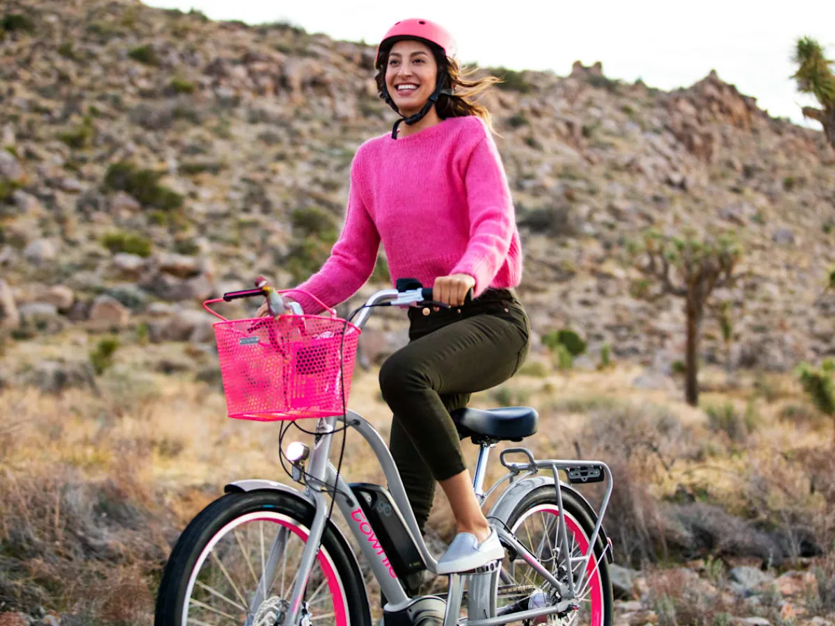 Trek Bikes Townie Go! 5i Step-Thru Sale