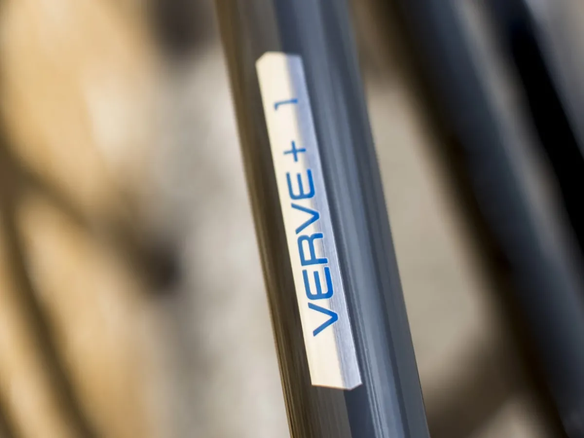 Trek Bikes Verve+ 1 Best