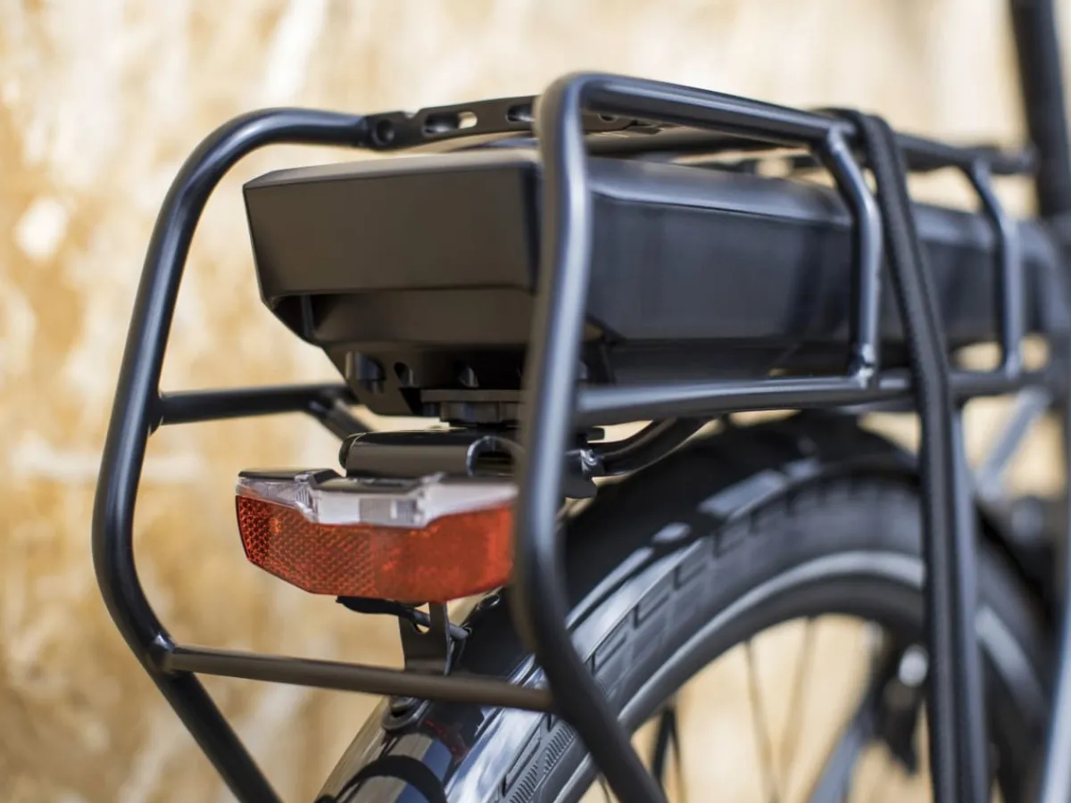 Trek Bikes Verve+ 1 Best