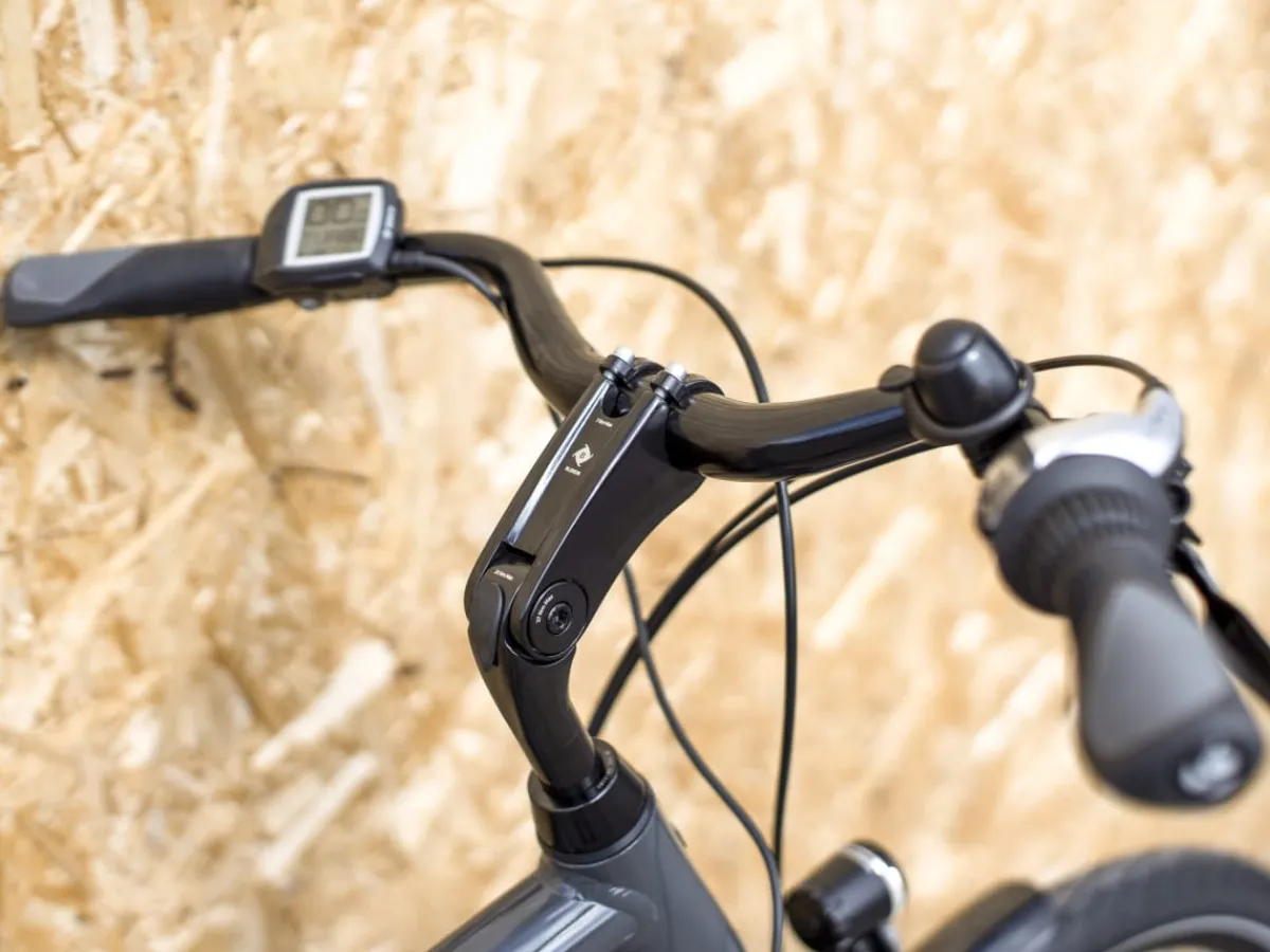 Trek Bikes Verve+ 1 Best