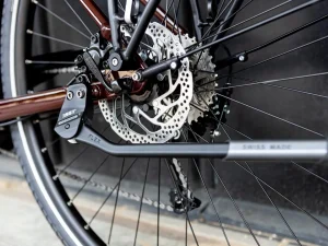 Trek Bikes Verve+ 4 Lowstep Best