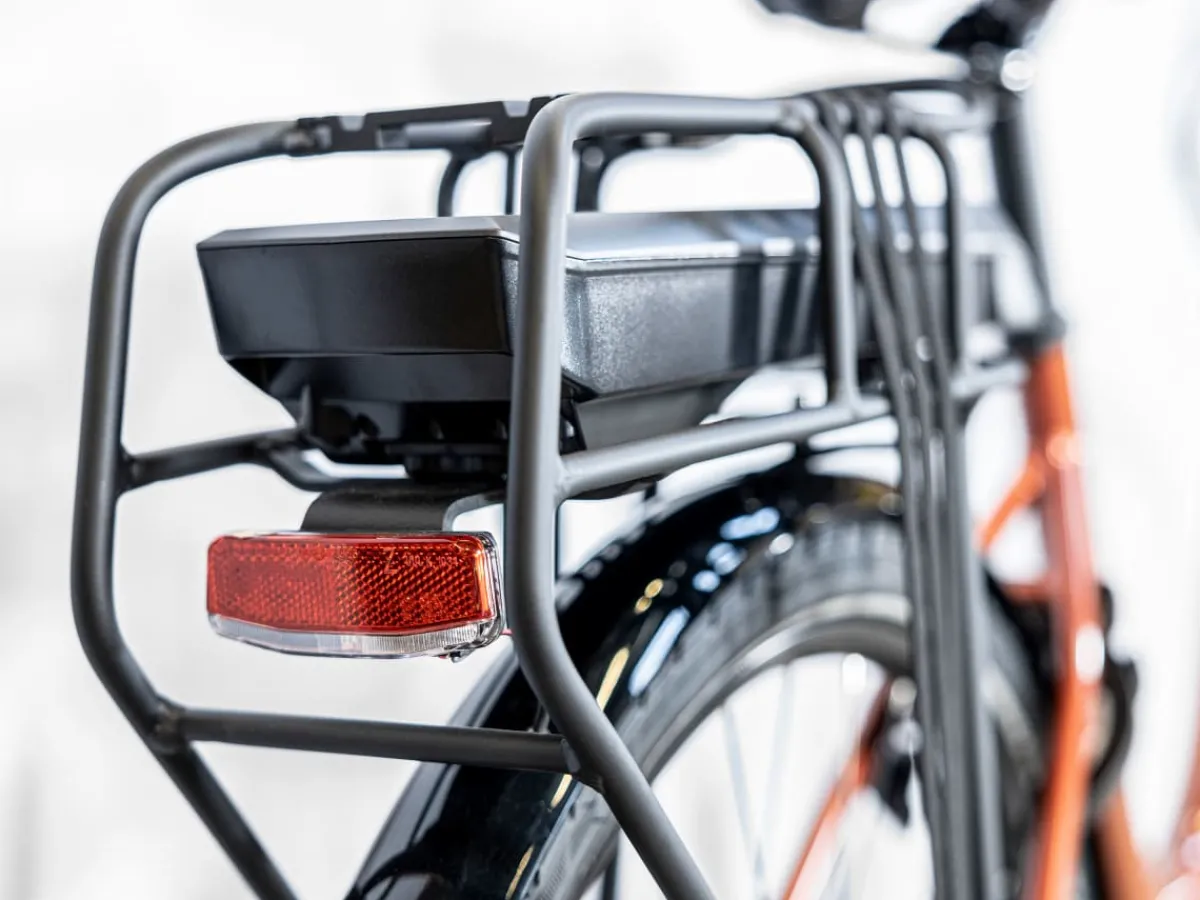 Trek Bikes Verve+ 1 Lowstep Shop