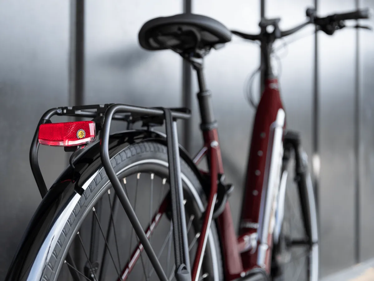Trek Bikes Verve+ 4 Lowstep Best