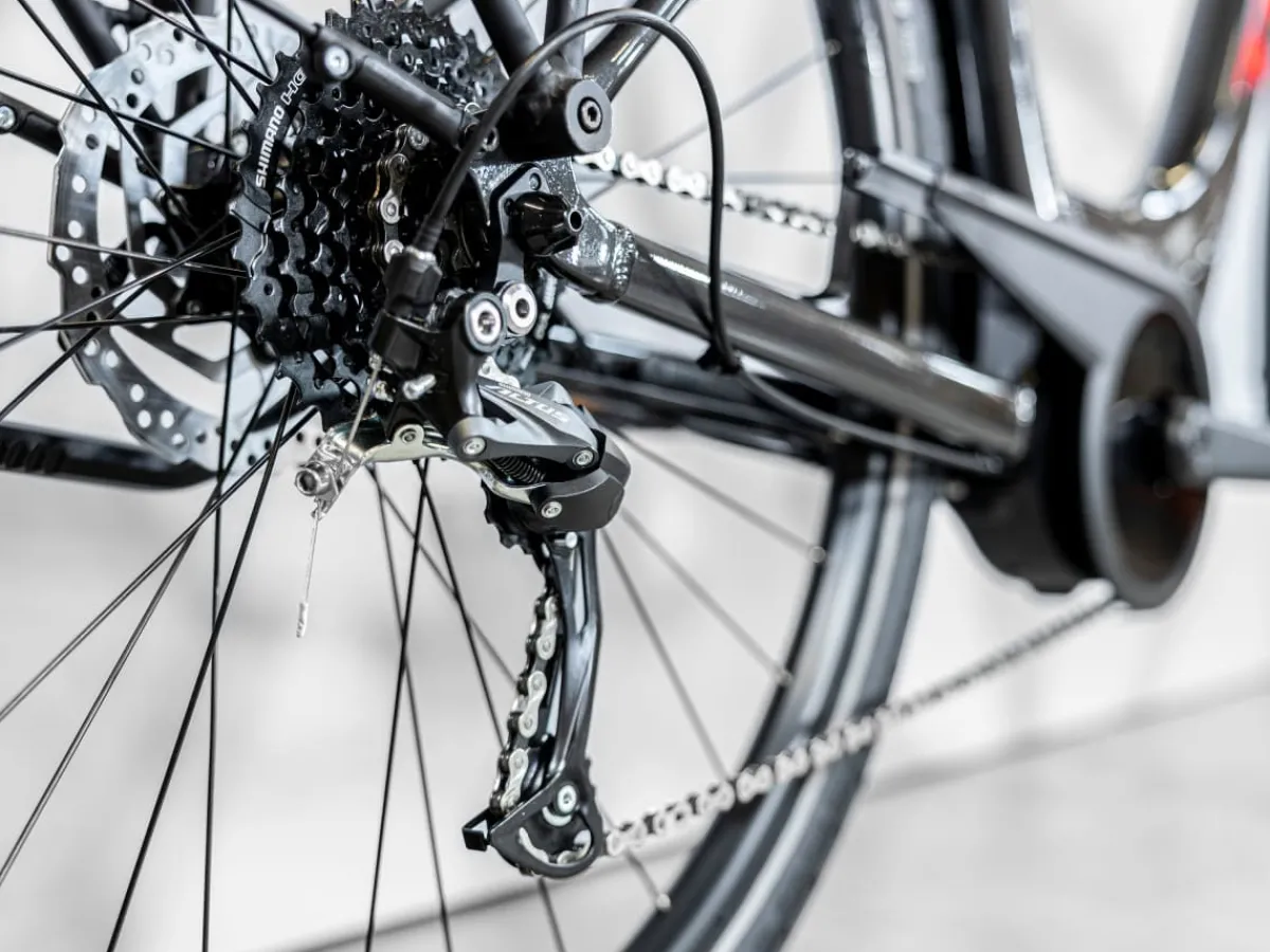 Trek Bikes Verve+ 2 Lowstep Gen 2 Fashion