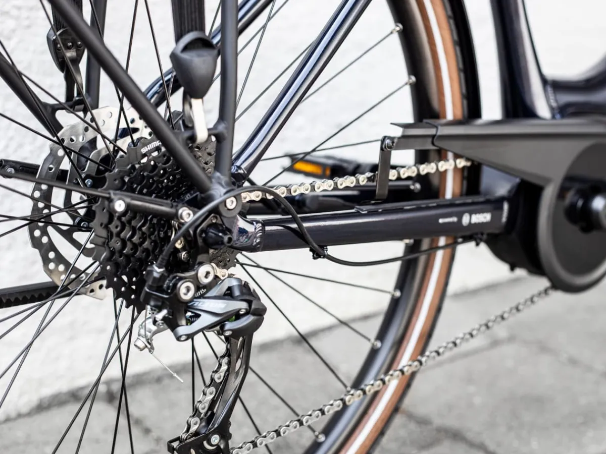 Trek Bikes Verve+ 2 Lowstep Gen 2 Fashion