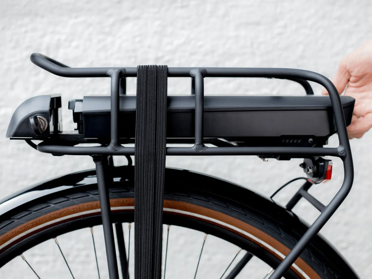 Trek Bikes Verve+ 2 Lowstep Gen 2 Fashion