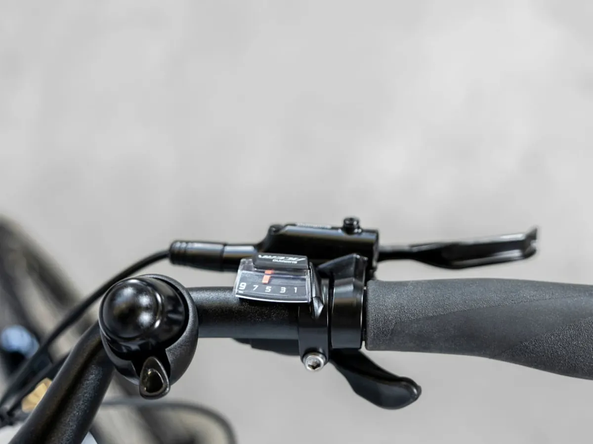 Trek Bikes Verve+ 2 Lowstep Gen 2 Fashion