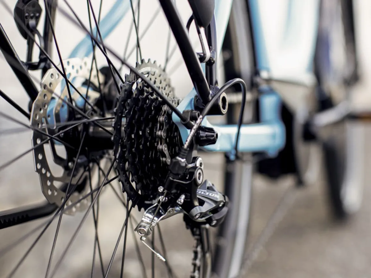 Trek Bikes Verve+ 2 Lowstep Gen 2 Fashion