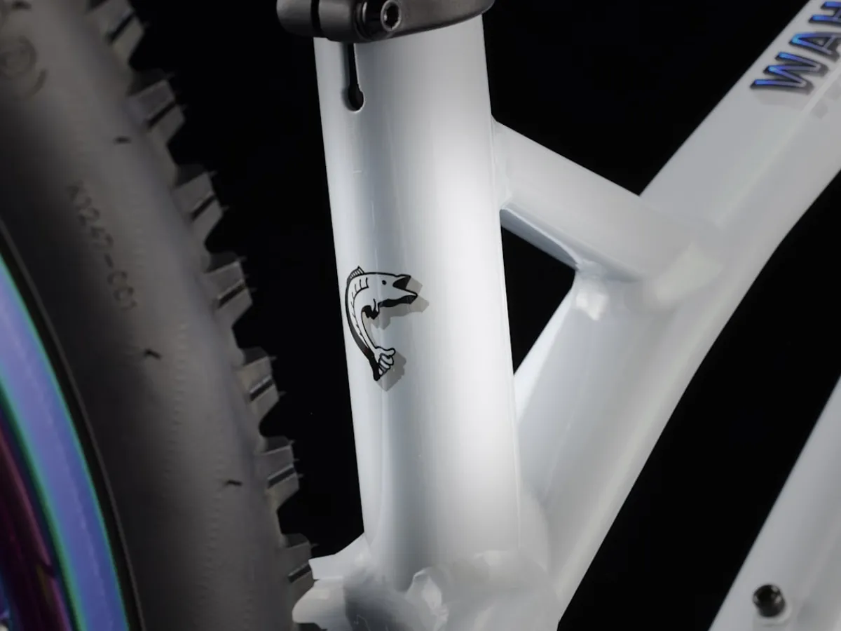 Trek Bikes Wahoo 20 Trail Flash Sale